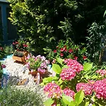 Park Eden 3* باد بيلنغن