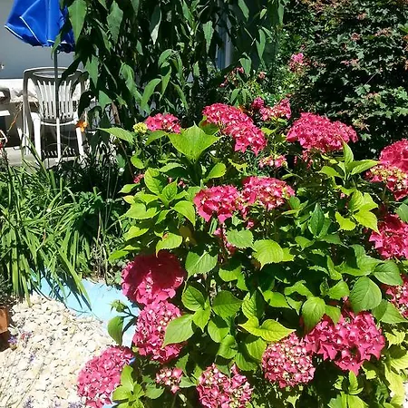 Park Eden מלון 3*