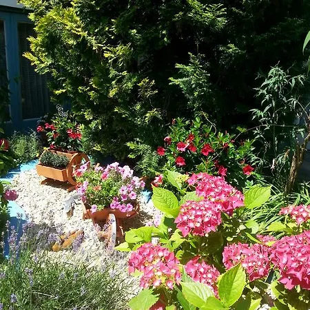 Park Eden 3* باد بيلنغن