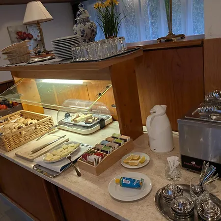 מלון Park Eden באד בלינגן