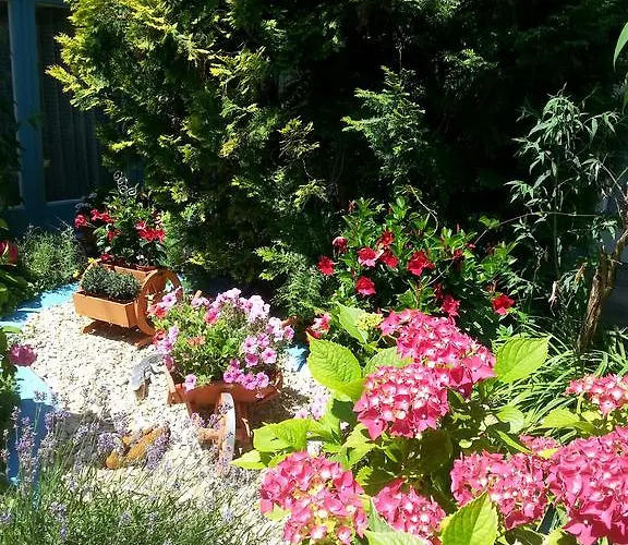 Park Eden 3* Bad Bellingen